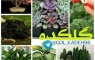 اموزش نگهداری و فروش گیاهان آپاتمانی وکاکتوس سم وکود وگلدان و خاک اموزش نگهداری و فروش گیاهان آپاتمانی وکاکتوس سم وکود وگلدان و خاک
