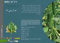 بذر خیار ام آر سی 07 mrc 07 