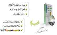 نرم افزار حقوق و دستمزد رادیکال نگارش پیشرفته