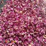 تمشک منجمد ، توتفرنگی منجمد ، آلبالو منجمد ، شاتوت ، گل مربایی ، بالنگ ، انجیر ، دان انار 