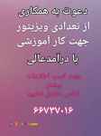 ویزیتور مجرب