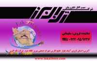 شرکت سیم و کابل الکترو پالیز تک البرز