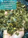 فروش سیلاژ ذرت علوفه ای