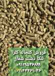 فروش کنجاله کلزا