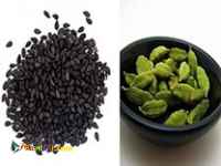  عطاری حاج حسین فیض مند و پسران(عمده فروشی) 