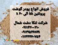پودر گوشت