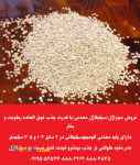 ارائه مینراژل(سیلیکاژل معدنی)با قدرت جذب فوق العاده رطوبت و بخار
