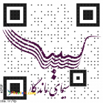 جذب نماینده فعال در زمینه تجارت الکترونیک