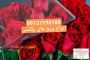 #بورس ورق های پلیکربنات دراصفهان