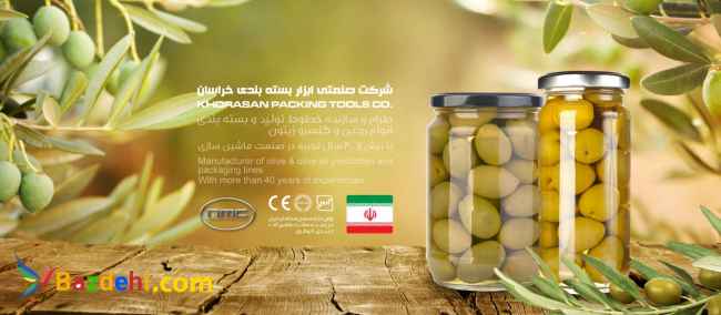 سازنده ماشین آلات خطوط تولید کنسرو