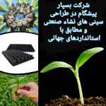 سینی نشا حفره ای