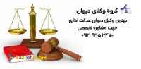 گروه تخصصی دیوان عدالت اداری