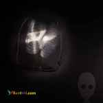 فروشگاه اینترنتی لنتیک