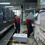 ارائه انواع خدمات چاپی(تراکت کاتالوگ cd & DVD)