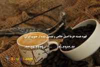 پودر قهوه هسته خرما تبریز عمده