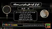 کود گرانوله و چالکود