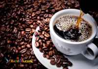 کارشناس فروش و بازاریاب در زمینه قهوه