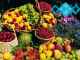 صادرات انواع میوه جات