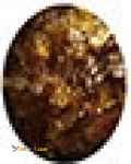 رنگ پودر صدفی SHELL 2